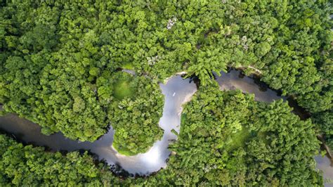 Fotografia otca Raymonda Portelliho v prostredí amazonského pralesa