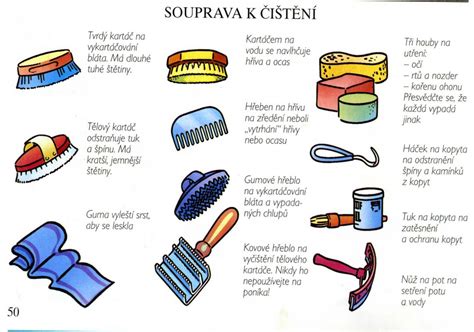Nástroje na čistenie koní