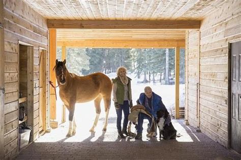Návšteva veterinára pri koňovi