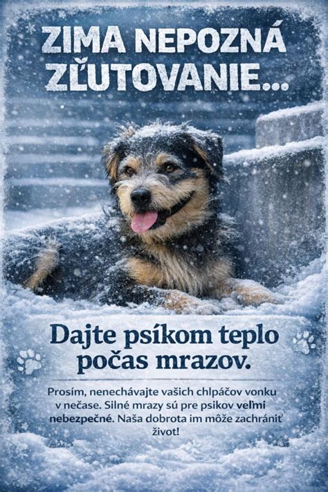 Pes v dočasnej opatere v domácom prostredí