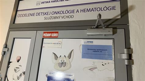 Ľudia s ťažkým zdravotným postihnutím