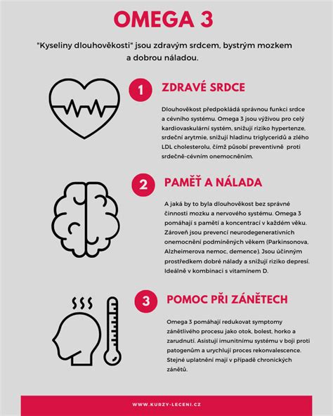 Infografika znázorňujúca výhody 3. piliera