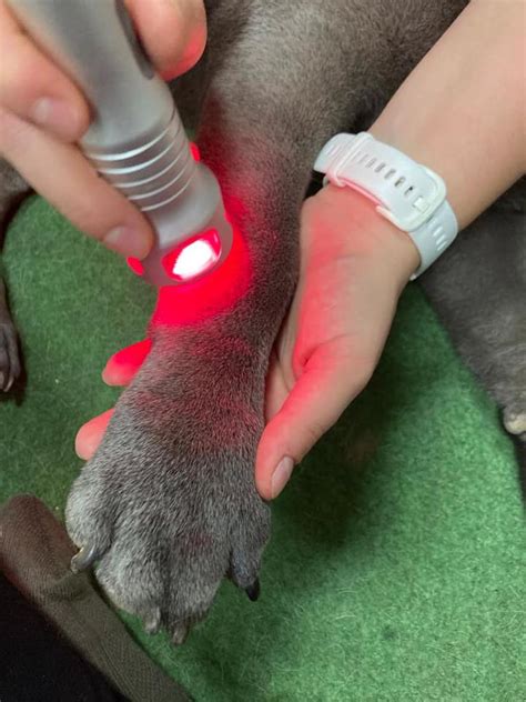 Princíp a aplikácia laserovej terapie