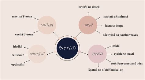 Typy pleti - infografika