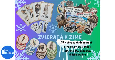 Schéma: Tri spôsoby prežitia zvierat v zime (hibernácia, adaptácia, migrácia)