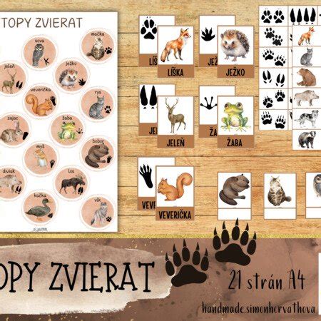 Príklad triediacej aktivity s kartičkami zvierat