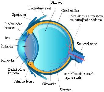 Funkcia oka a zrakového nervu