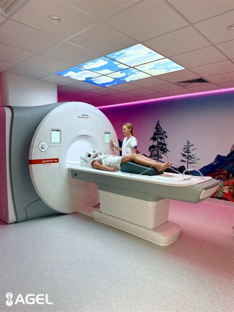 Schéma magnetickej rezonancie (MRI)