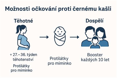 Infografika: možnosti poberania materského rodičmi dvojičiek
