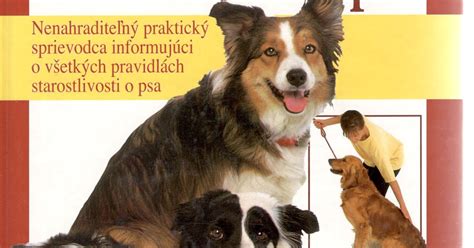 Ilustrácia správnej starostlivosti o psa s plienkou