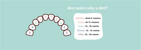 Časová os rastu mliečnych zubov u detí