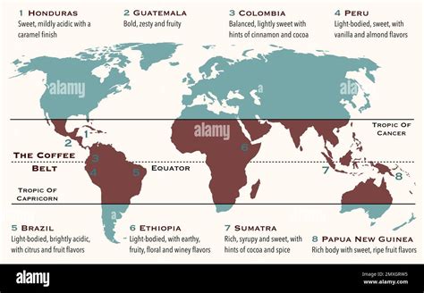 Mapa kávového pásu (Coffee Belt) vo svete