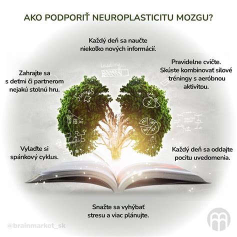 Infografika: Neuroplasticita mozgu