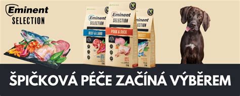 Špeciálne krmivo pre psov po operácii