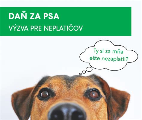 Majiteľ psa platí daň za psa