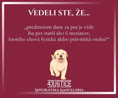 Pes starší ako 6 mesiacov