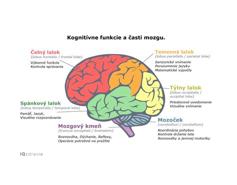 Ilustrácia mozgovej aktivity pri schizofrénii