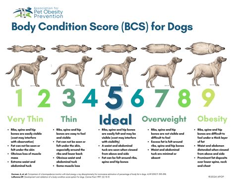 Tabuľka Body Condition Score (BCS) pre psov