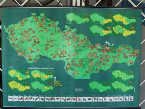 Mapa rozšírenia koňa Przewalského