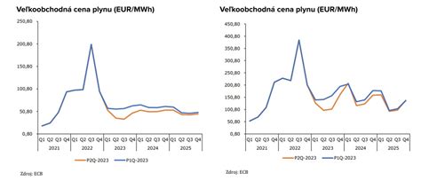 Graf vývoja cien elektriny a plynu s vyznačenými dotáciami