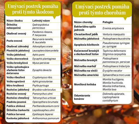 Kalendár postrekov ovocných stromov