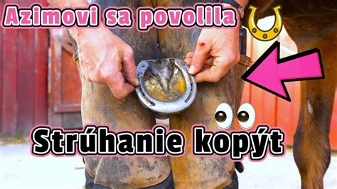 Bezpečný kontakt s koňom