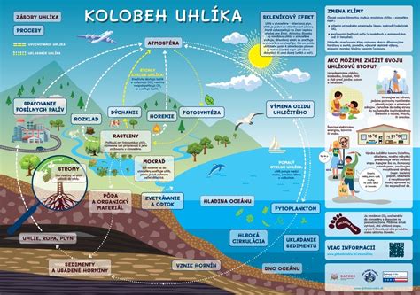 Kolobeh uhlíka v prírode