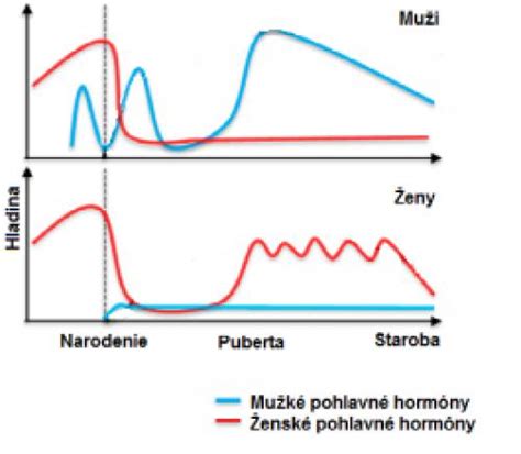 Porovnanie mužských a ženských análnych/vaginálnych guličiek