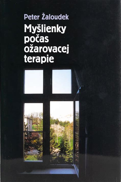 Ilustrácia: Sociálny poradca a gambler počas terapie