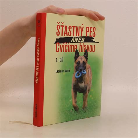 Šťastný pes a majiteľ pri prechádzke