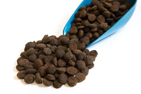 Granule pre psov v miske