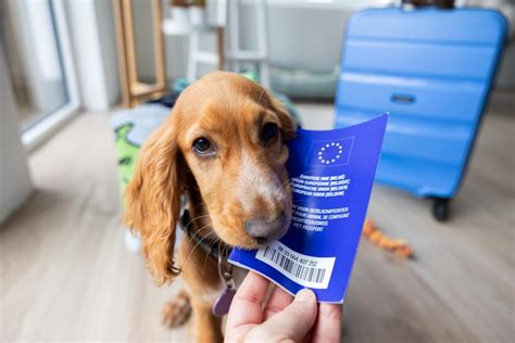Pet Passport a cestovanie so zvieratami