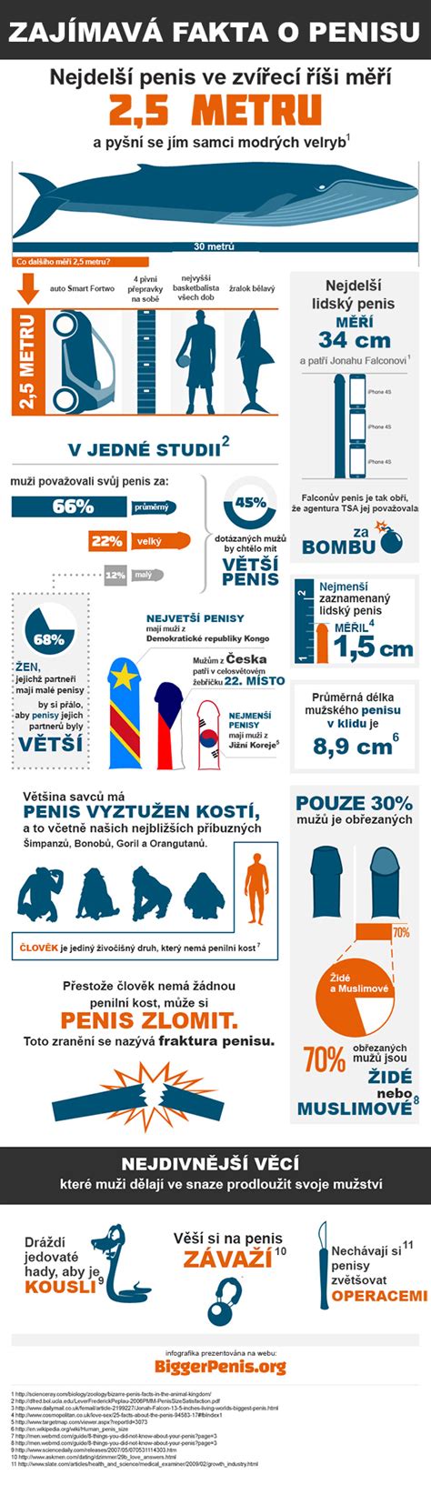 Infografika: Metódy rehabilitácie penisu