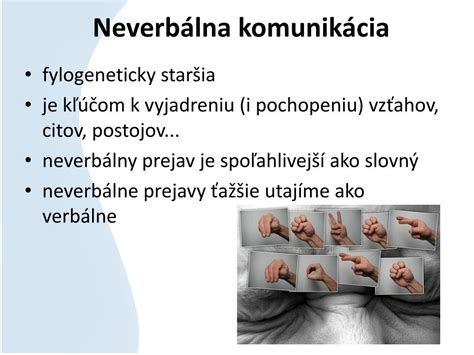 Infografika základných typov neverbálnej komunikácie (mimika, gestá, očný kontakt, proxemika, postoj, dotyk, hlasové vlastnosti)