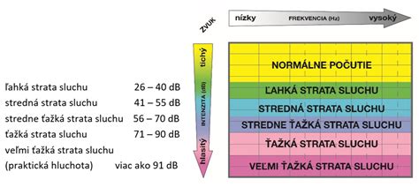 Infografika o rôznych typoch straty sluchu