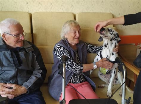 Senior interaktuje so psom v rámci canisterapie