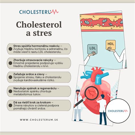 Infografika: Vplyv stresu na telo a myseľ
