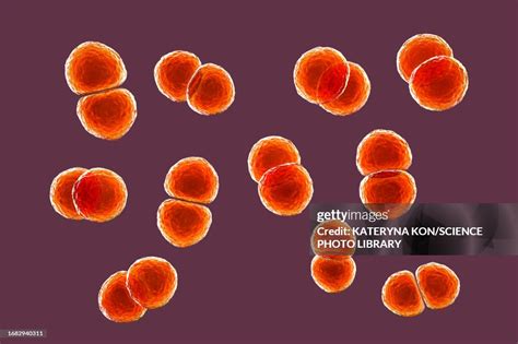 Ilustrácia baktérie Streptococcus pneumoniae
