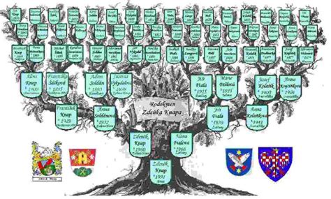 Genealogický strom rodiny Wandesford