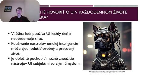 Prejavy sociálneho princípu v bežnom živote
