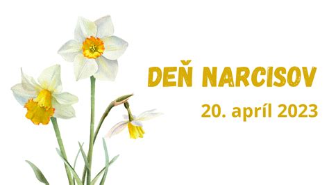 Deň narcisov a jeho symbolika