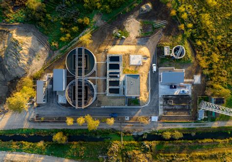 Pes vo vodnom trenažéri (hydroterapia)
