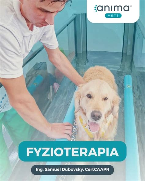 Komplexná rehabilitácia - fyzioterapia, balneoterapia, hydroterapia