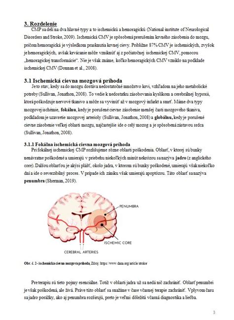 schéma následkov cievnej mozgovej príhody