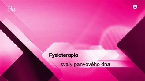 Infografika svalov panvového dna a ich vplyvu na orgány