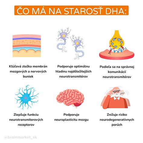 Infografika o prínosoch kreslenia pre mozog