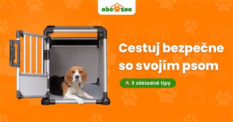 infografika komunikácie so psom