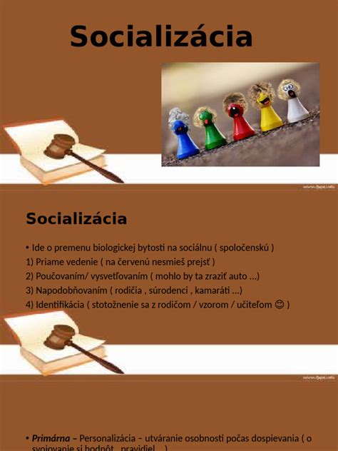 Školská socializácia