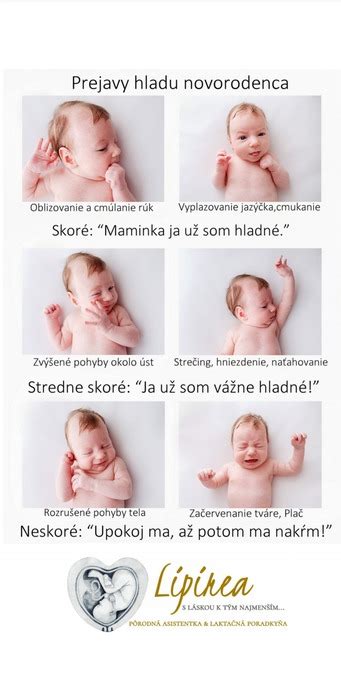 Infografika: Signály hladu u bábätka