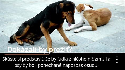 Obrázok s rôznymi typmi postihnutí a ich prejavmi